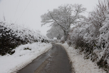 Snowy scene in rural Shropshire UK making travel difficult and dangerous for people and vehicles alike.