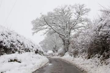 Obraz premium Beautiful snowy scene in rural England with trees hedges and roads all covered in snow and ice.