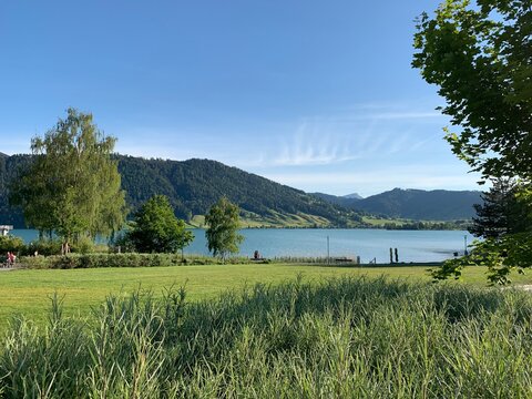 &Auml;gerisee - Aegerisee in Ober&auml;geri mit Sicht auf Unter&auml;geri ,  Nollen, den Zugerberg und Berg Rigi / See in der Schweiz 