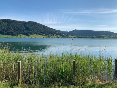 &Auml;gerisee - Aegerisee in Ober&auml;geri mit Sicht auf Unter&auml;geri ,  Nollen, den Zugerberg und Berg Rigi / See in der Schweiz 