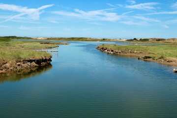 wide view, Zwin, border between Belgium and the Netherlands
