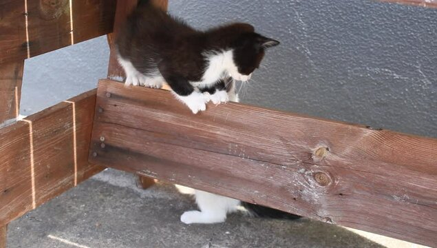 Dos hermanos jugando 