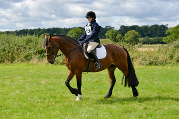 Smartly turned out horse and rider competing in a dressage  competition outdoors in rural Shropshire 