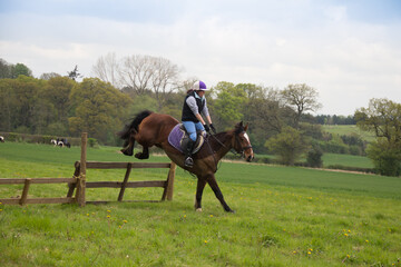 On the downhill, young rider and her horse  working as a team landing safely after jumping a wooden fence on a cross country course in rural Shropshire England whilst competing in a competition 