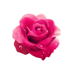 Rose. Bud. Pink flower. Vector illustration.