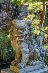 Fototapeta na wymiar Agyou (Open Mouth) Stone carved Komainu Lion-Dog guardian in Kamakura, Kanagawa Prefecture, Japan.