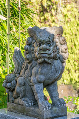 Fototapeta na wymiar Ungyou (Closed Mouth) Stone carved Komainu Lion-Dog guardian in Kamakura, Kanagawa Prefecture, Japan