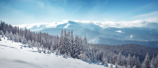 A magnificent panorama of the mountains. Wonderful Winter Landscape. Scenic image of fairy-tale...