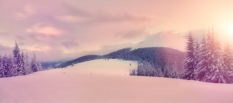 Wonderful Wintry Scene. Beautiful winter landscape with snow covered trees. Amazing Evening View During Sunset in the Mountains. frost covered trees in the warm glow at sunrise. Christmas background