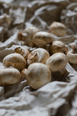 fresh champignon mushrooms on a clay plate