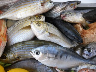 Wooden boat, turned into a refrigerator, full of fresh fish in Sorrento, Italy.