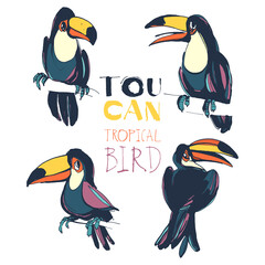 Tropical summerset with toucan birds. Ink splatter grunge style. © svsunny