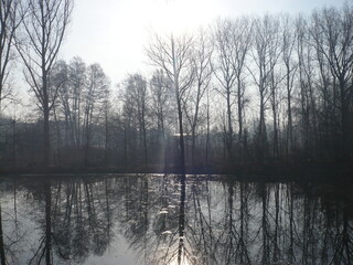 cold weather, Warta river in Poland and forest