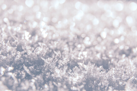 Snow winter background with snow texture closeup. Snow cristals macro. Wonderful winter holiday background. Christmas concept