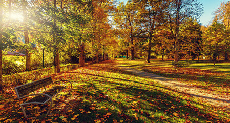 Fototapeta na wymiar Bench in autumn park. Amazing nature landscape. Autumn landscape beautiful colored trees in the park, glowing in sunlight. wonderful picturesque background. color in nature. gorgeous view.
