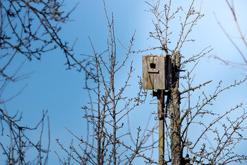 An old gray wooden birdhouse is attached to the top of an old tree. Branches on a background of blue sky, glare of sunlight.