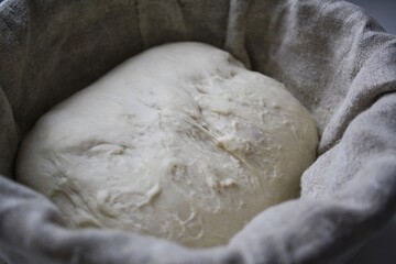 Sourdough bread dough in baking basket. High quality photo