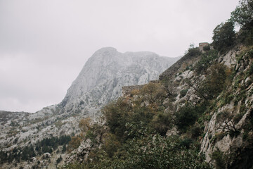 Fototapeta na wymiar mountain landscape with fog in Montenegro