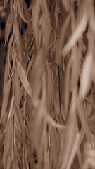 OLYMPUS DIGITAL CAMERA © Chmiel_Photo