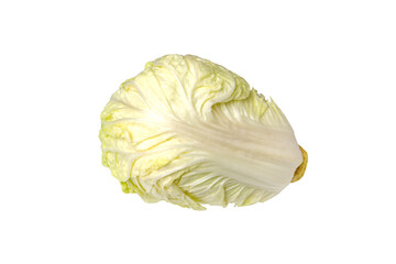 Chinese cabbage on white background