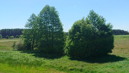 Wiejski krajobraz.