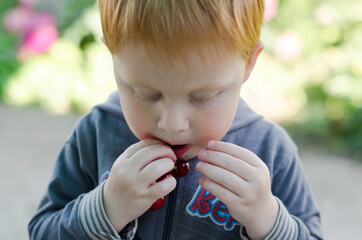 A three-year-old child with red hair eats cherry. The baby's face is stained with cherry juice.