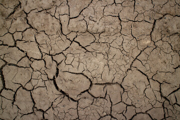 Large cracks in the ground. Abstract lines. Beautiful background. Nature. Photo in good quality.