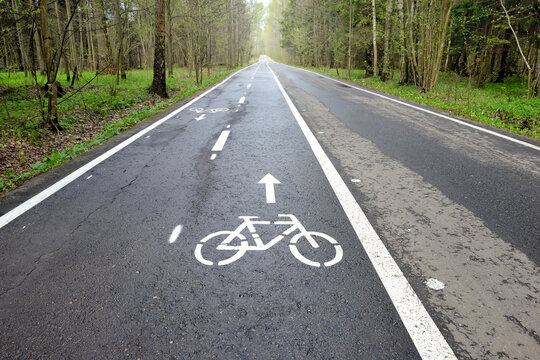 Bicycle lane signage on a street. Bicycle path in the summer forest