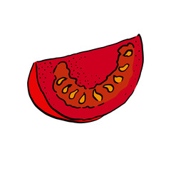 vector colour sketch of a section of tomato doodle style. hand drawn
