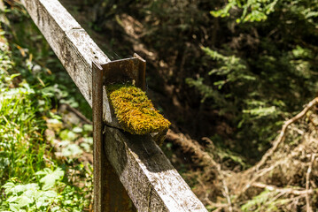 A traditional wooden hand-rail on the side of an alpine trek