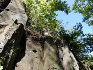 Fototapeta na wymiar rocks with trees on them