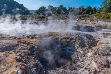 Hot pools at Hell's Gate Geothermal Reserve in New Zealand