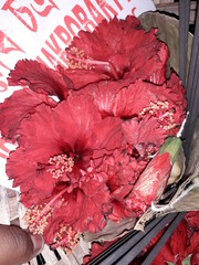 bouquet of red roses