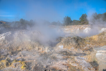 Hot pools at Hell's Gate Geothermal Reserve in New Zealand