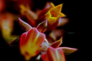 photography of orange flowers with neon light effect