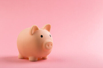 beautiful pink piggy bank on rose background.
