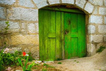 Old green door. Vine cellar in Serbia. Rustic building.
