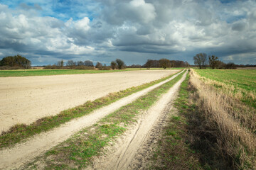 Dirt road and farmland, rainy clouds on sky