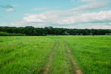 Fototapeta na wymiar The road on a green meadow. Country road. Man way concept. Choosing your own path. Life road. The path under your feet. The road under the blue sky. Happy way
