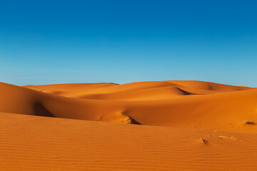 Fototapeta na wymiar Sand Dunes of the Sahara Desert.