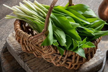Fresh young wild garlic leaves in a basket