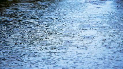 Rain drops on the water. Water texture during rain