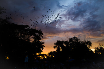 sunset in the clouds