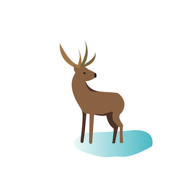 A deer on a white background. Animated style. Brown