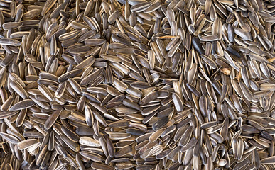 background of sunflower seeds