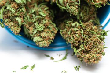 Green dried cannabis buds in blue basket on white background.