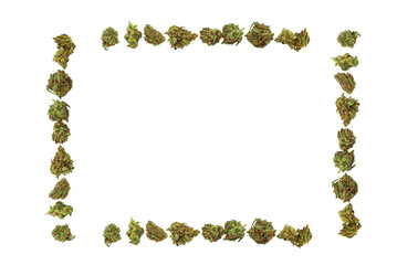 Green dried marijuana buds square frame isolated on white background. Cannabis frame buds.
