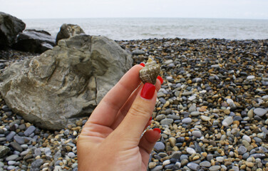 Female hand holds a seashell on the seashore