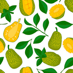 Jackfruit fruit with leaves on white background. Hand drawn seamless pattern. Stock vector illustration.
