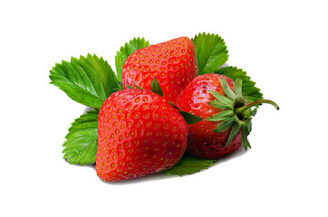 Red strawberries on white background